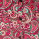 Paisley & Wheels pink