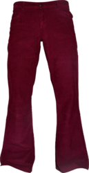 Flare Corduroy tawny port